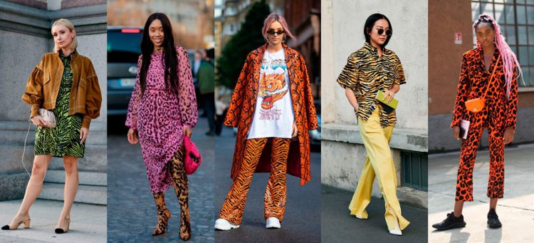 Animal print colorido