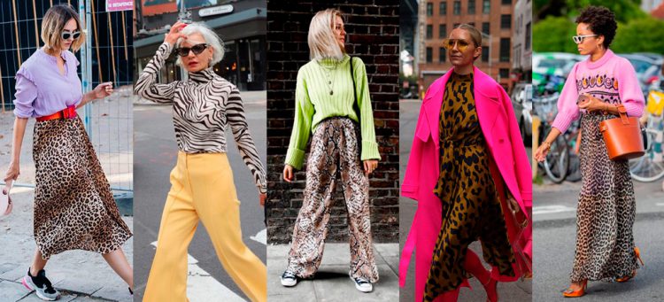 Animal Print com peças coloridas