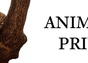 O Animal Print segue em alta.